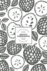 Hand drawn sketch style cherimoya banner. Organic fresh fruit vector illustration. Engraved style botanical design template.
