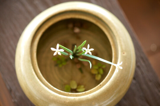 Flower pot