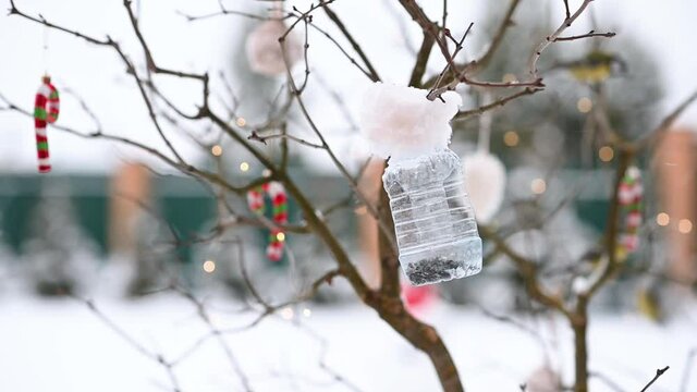 birds of titmouse sit in the feeder to eat food seeds in winter against the background of Christmas decorations. High quality FullHD footage