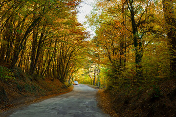 Autumn forest road car. The concept of travel, long-distance trips. Colorful autumn landscape with asphalt uneven road. Rural area, suburb with tall trees. A gray car is driving in the distance.