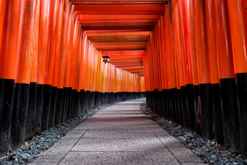 Red Torii of Fushimi Inari Shrine, Kyoto, Japan