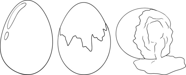 Hand drawn vector eggs. Scrambled, omelet, farm eggs. Drawing ingredients, rustic vector illustration