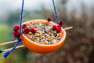 Gordijnen Feeding birds in winter. Do-it-yourself energy bird fat balls. © iMarzi