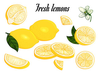 Collection yellow fresh lemons. Set of citrus fruits. Ripe lime, slices, plant leaf, cut pieces, green leaves. Hand drawn. Colorful vector illustration isolated on white background. Design elements.