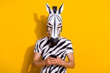 Photo of blogger zebra guy use smart phone typing email friends share news isolated over bright color background