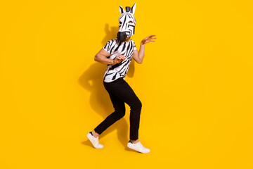 Fototapeta na wymiar Full length profile side photo of thief guy in zebra mask escape house look empty space isolated over shine yellow color background