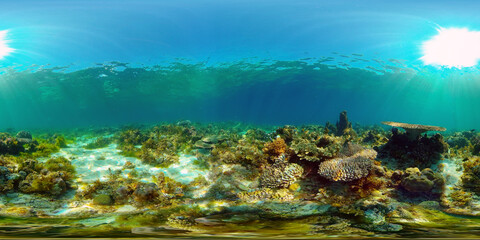 Naklejka na ściany i meble Reef underwater tropical coral garden. Underwater sea fish. Philippines. 360 panorama VR.