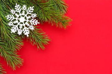 Red background for text with coniferous tree branches