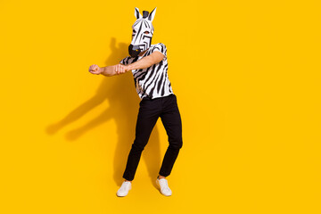 Full length photo of freak bizarre guy in zebra costume dance rhythm festival isolated over bright...