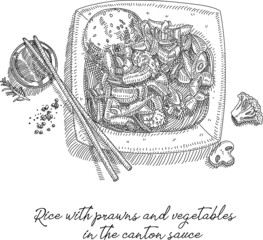 Japanese food. Rice with prawns and vegetables in the canton sauce. Sketchy hand-drawn vector illustration.