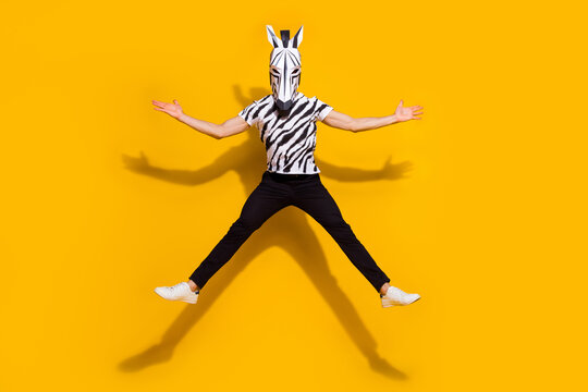 Photo of creative cool man wear zebra print t-shirt mask jumping high like star isolated yellow color background
