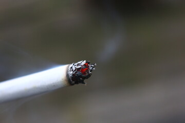 A cigarette that is being lit has a red flame and emits white smoke
