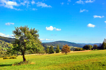 Autumn nature landscape of Karpaty Mountains