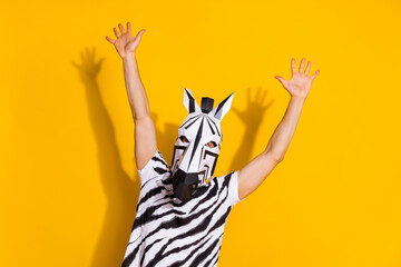 Photo of bizarre incognito guy in zebra mask arms up enjoy mardi-gras festival offer isolated over...