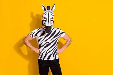 Photo of bizarre incognito guy in zebra mask put hands waist isolated over bright yellow color...