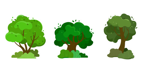 Set of three trees with green crown in cartoon style. Vector illustration on white background 