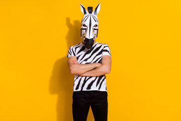 Photo of unusual absurd guy in zebra costume cross arms prepare theme festival isolated over shine...