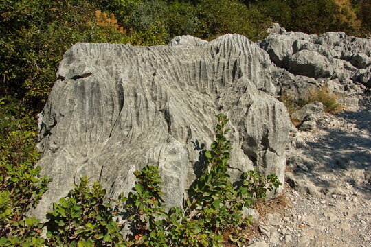 Rocks on the hiking trail from Sistiana to castle Duino, Italy, Europe
