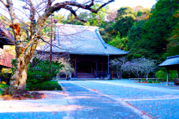 古都鎌倉にある、比企能員ゆかりの古刹、妙本寺の祖師堂