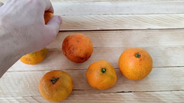 Man picks tangerines from wooden background