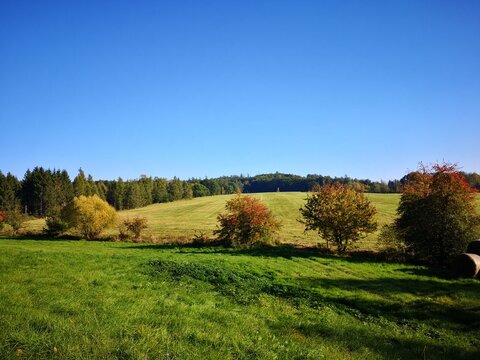Herbst in der Walbach bei Wolfsburg-Unkeroda