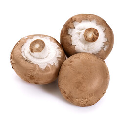 Fresh champignon mushrooms, isolated on white background