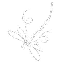 dragonfly drawing by continuous line, sketch, vector