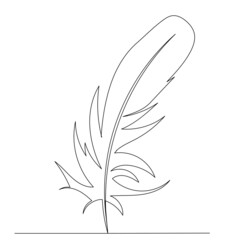 feather bird drawing by continuous line, sketch