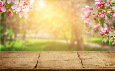 Spring background with flowering pink apple branches border and empty wooden table.