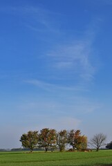 Fototapeta na wymiar Herbstlandschaft mit Bäumen in Ungarn, Nähe Csorna