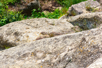 huge stones with grass in Uplistsikhe in Georgia
