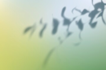 Abstract green gradient background vector with leaf shadow