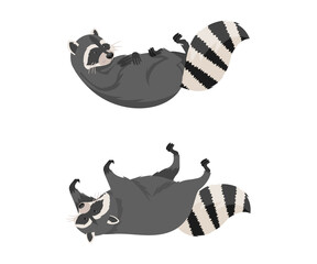 Cute funny raccoons front and side view set. Wild furry forest animal lying on its back cartoon vector illustration © Happypictures