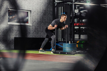 Intensive cross fit training with sleds. A man in good shape pushes forward a sports sled with endurance in the sports center. He is completely dedicated to exercise and healthy life, sport lover