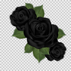 Black roses vector PNG