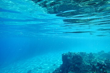 Fototapeta na wymiar Underwater world