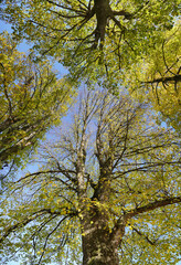 Herbstgefühle in Bayern