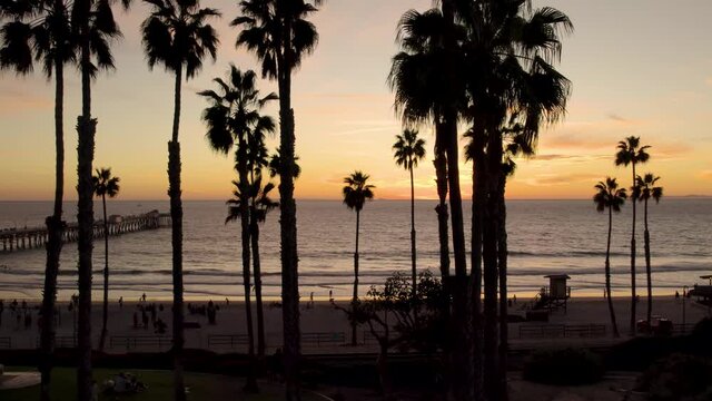 Dreamy Sunset with Palm Trees on Tropical Beach in San Clemente, Aerial