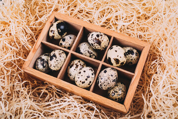 Little raw quail eggs in the wooden box 