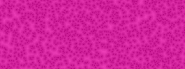 Banner cell pattern of Magenta rose color. Random pattern background. Texture Magenta rose color pattern background.