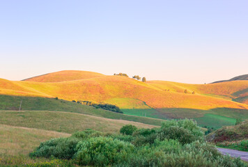 Obraz premium Undulating hills of the Altai Territory