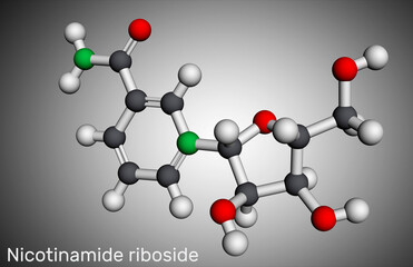 Nicotinamide riboside, NR, SR647 molecule. It is iN-glycosylnicotinamide, pyridine nucleoside similar to vitamin B3. Molecular model. 3D rendering