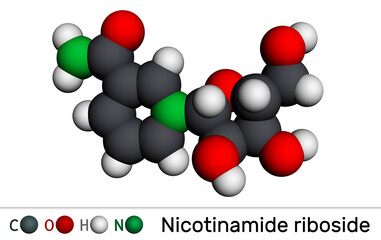 Nicotinamide riboside, NR, SR647 molecule. It is iN-glycosylnicotinamide, pyridine nucleoside similar to vitamin B3. Molecular model. 3D rendering.