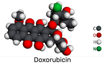 Doxorubicin molecule. It is anthracycline antibiotic with antineoplastic activity, is a chemotherapy medication. Molecular model. 3D rendering