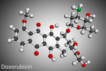 Doxorubicin molecule. It is anthracycline antibiotic with antineoplastic activity, is a chemotherapy medication. Molecular model. 3D rendering