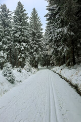 Schöne Winterlandschaft auf den Höhen des Thüringer Waldes bei Schmiedefeld - Thüringen