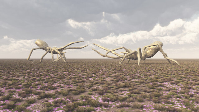 Zwei Riesenspinnen in einer Landschaft