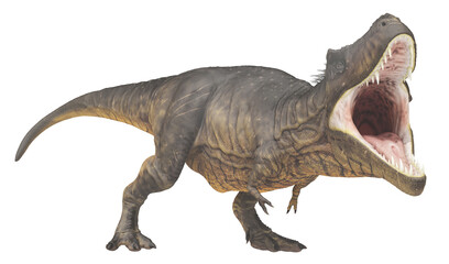 Tyrannosaurus Rex, Freisteller