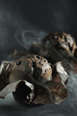 chocolate muffin with chocolate on a dark background