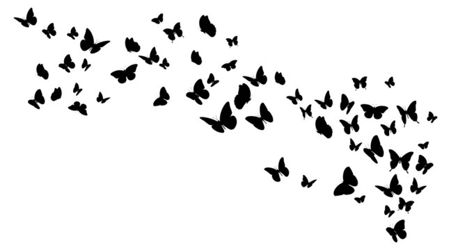 Flying black silhouettes of butterflies. Design element illustration
